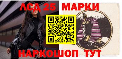 стаф Донецк