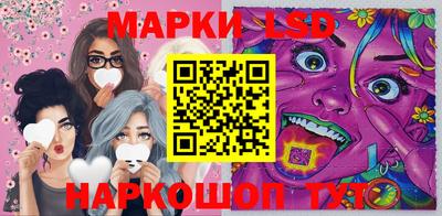 стаф Донецк